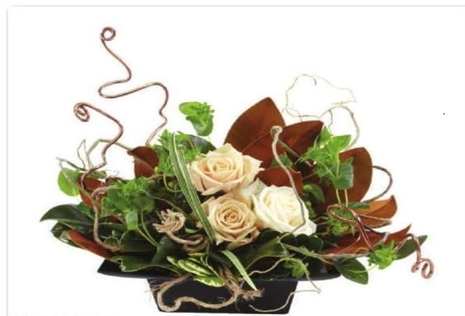 Image of Oasis Bind Wire, Natural Color Paper Coated Wire, Multipurpose Gift-Hamper Wrapping, Flower Bouquet Arrangement Tying, Pack of 1