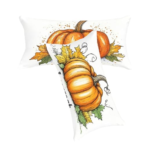 Housse de Coussin Orange Citrouille en Velours de Qualité Supérieure