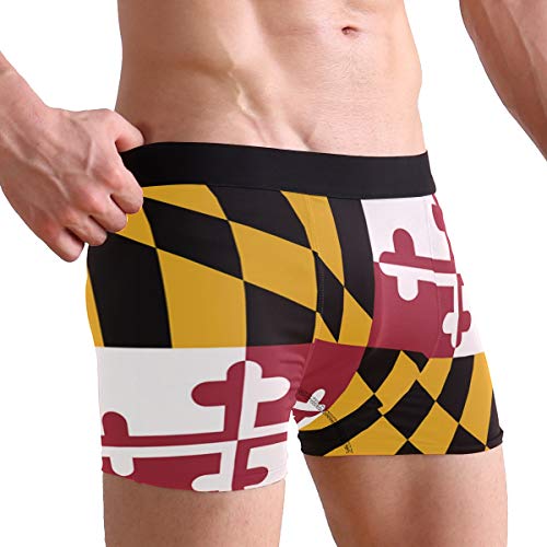 ZZKKO Bee Rooster Dragon Mens Boxer Briefs Underwear Breathable Stretch Boxer Trunk with Pouch S-XXL2