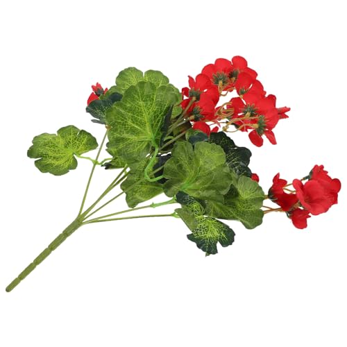 ADOCARN ԃV~[Vԑ ԃxSjA tFCNt[fR[V rO[ʐ^Bewip @ׂȉԏϐFv