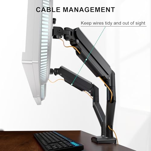 Image of WALI Dual Monitor Mount, Adjustable Gas Spring Desk Stand for 2 Monitors, Heavy Duty Arm up to 32 Inch Screen, Hold up to MAX 22lbs, Max Mounting Holes 100x100mm (GSMP002N), Black