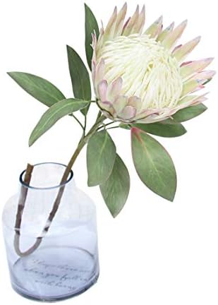 Calcifer 1 Pcs 75 CM The King Protea (Protea Cynaroides) Artifici...