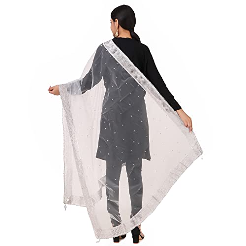 Image of Traditions Bazaar Women's Net Zari Border Dupatta