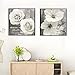 Rosa blanca pintura al óleo sobre lienzo abstracto flores modernas cuadros de...