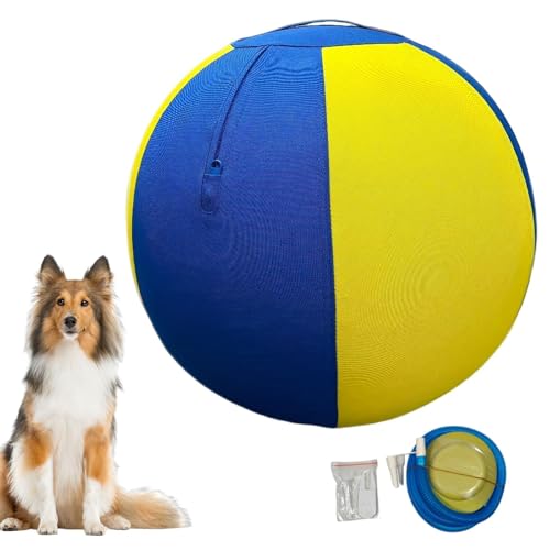 Générique Hüteball Hunde- 45 cm aufblasbarer Ball mit Pumpe, Hundespielball Training und Beschäftigung- Rasen, Park, Garten, Hof, Spielzimmer