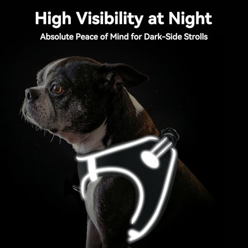 Joytale Hundegeschirr Kleine Hunde, Reflektierend Weich Gepolstert Geschirr, Air-Mesh Brustgeschirr Hund Klein, S, Grau