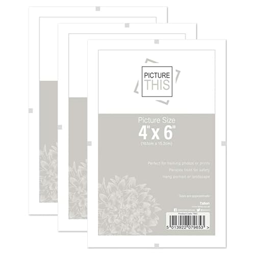 FotoStation Pack of 3 - Clip Frame 4 X 6 Inch with Styrene Front Frameless Clip Frames for Posters, Drawings & Illustrations
