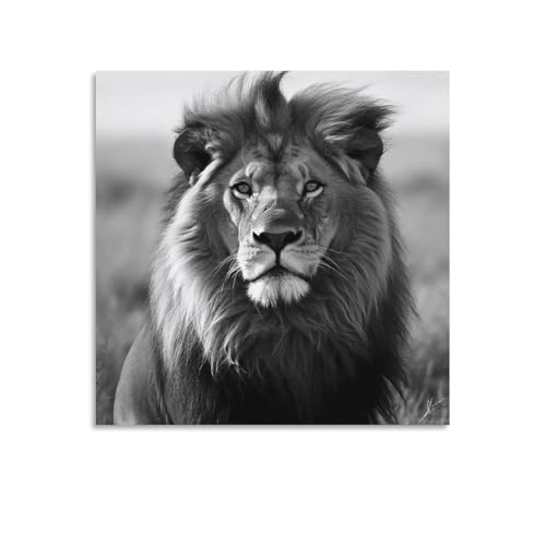 Toile murale abstraite lion africain noir et blanc AQRJLPM 60x60 pour rompre la monotonie