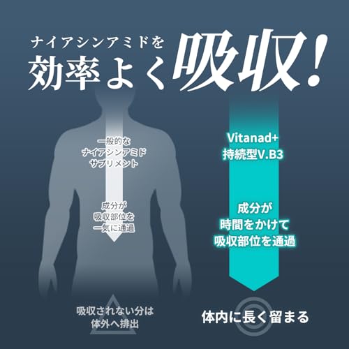 Vitanad+ 持続型ナイアシンアミドサプリ