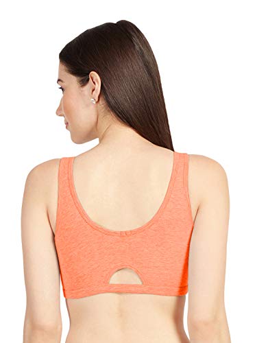 Image of SONARI Kyra Women's Sport's Bra Pack of 2
