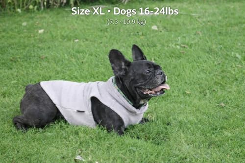 Image of JACKO & CO - Fleece Vest Dog Sweater with Leash Ring - Soft, Warm & Lightweight Pullover Coat for Small & Medium Dogs, Puppies & Cats - Cozy Fall /Winter /Spring Pet Jacket (Grey, X-Large 17-25lbs)