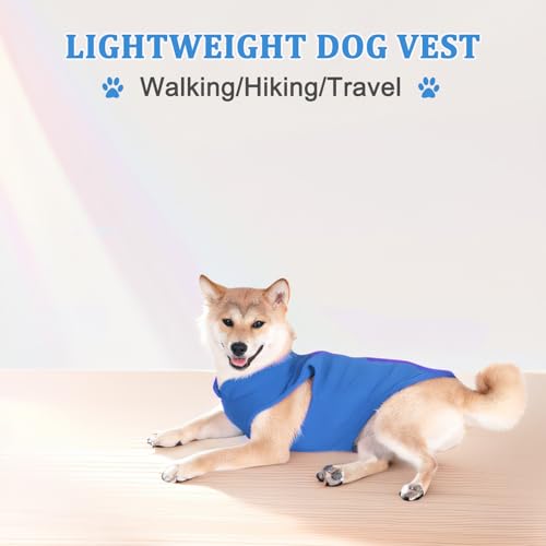Hundeweste Fleece Pullover Winterjacke für kleine und mittlere Hunde mit D-Ring Leine Kaltwettermantel Hoodie, Blau,M