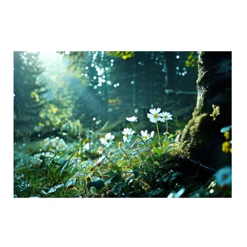 La beauté de la forêt poster de salon zen et d&eacute;coration d'int&eacute;rieur