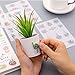 Plant Stickers 24 Sheets 520 Non-Repeating Green Cute Cactus Watercolor Plant Decorative Stickers for Stationery Stick Label DIY Diary Scrapbook Planner Album Journal Laptop Decoration