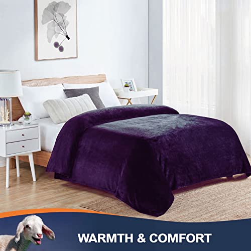 Walensee Fleece Blanket Plush Throw Fuzzy Lightweight (Throw Size 50X60 Purple) Super Soft Microfiber Flannel Blankets For Couch, Bed, Sofa Ultra Luxurious Warm And Cozy For All Seasons #TOP4