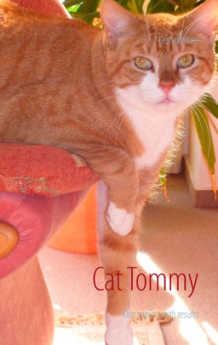 Cat Tommy: Kidnapping with results
