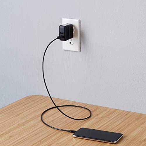 Image of Amazon Basics 24W Two-Port USB-A Wall Charger for Multiple Devices, Space-Saving Design, 12W 2.4A per Port, for iPhone 16 /15 /14 /13 /12 /11 /X, Samsung, and More, Black