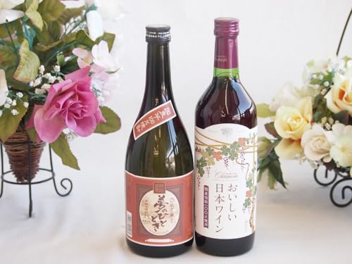 v~AȈĒƍYCZbg(Y100gp {C ԃC (R)720ml啪𑢖̂ЂƂƂ23°720ml