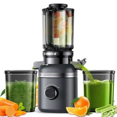 GlowWise Cold Press Juicer with Built-in Blades for Slicing Whole