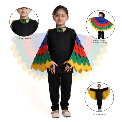 Image of Kaku Fancy Dresses Dance Butterfly Wings, Dragon Wings, Fabric Wings for Kids | Soft Fabric Wings Dancing Costume For Unisex - Multicolor, Fress Size