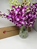 Premium Cut Purple Orchids (30 stems with Vase) (Support Small Business)