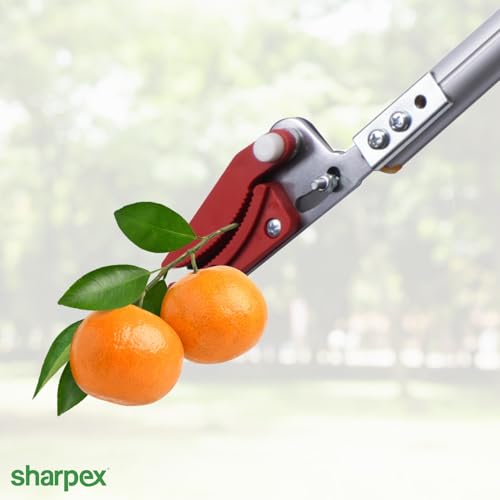 Image of Sharpex Heavy Duty 4.4 Feet Long Reach Pruner Aluminum Cut and Hold Pruner For Tree Branch Cutter & Trimming, Cutting Leaves, Fruit Picker | Cut Up to 2 Inch & Hold Easy Garden Pruning Tool