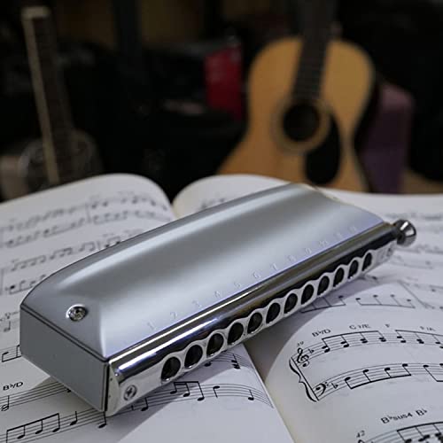 MEIeynt Harmonica Orgue à Bouche 12 Trous 48 Tons C Major Blues Harmonica avec Étui Et Chiffon De Nettoyage pour Enfants… - Les Beatles, Paul McCartney, John Lennon, RIngo Starr, George Harrison MEIeynt Harmonica Orgue à Bouche 12 Trous 48 Tons C Major Blues Harmonica avec Étui Et Chiffon De Nettoyage pour Enfants… – Image 4