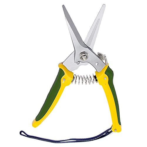 WHZSH Specialisten Resistant Foot Rot Shears Schapen Paard Bloemist Tuin Scherpe Schaar Kaken Hoof Shears Trimmen Prun… - Image 5