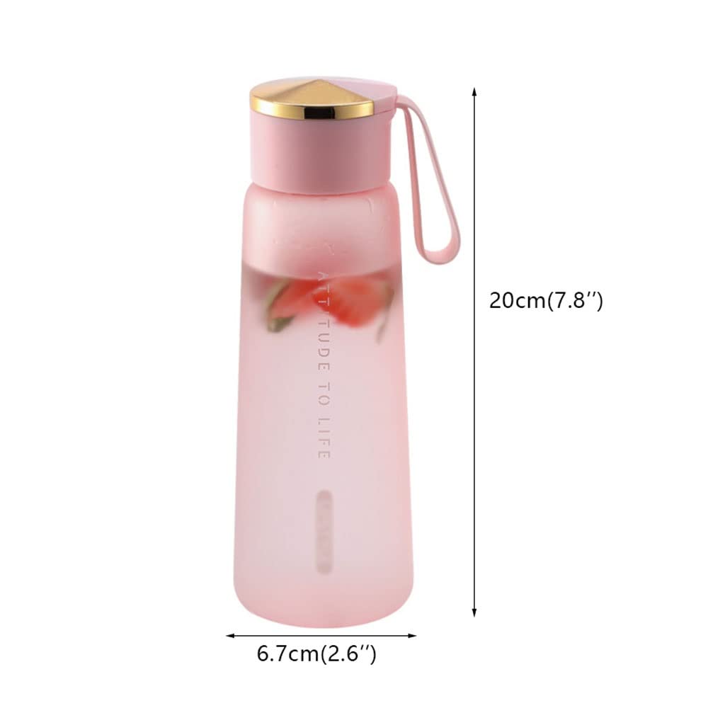 Gourde Sport Gourdes d'eau Gourde 2pcs 450ml bouteille d'eau en plastique givré bouteille de boisson buvant de plein air bouteilles d'eau de sport portable étudiant fourre-tout essai d'eau Bouteille d