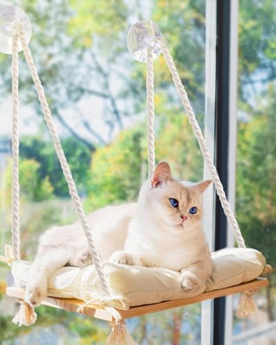 Cat Window Perch Solid Wood Hammock Bed with 4 Heavy-Duty Suction Cups Soft Cushioned Indoor Pet Shelf for Cats