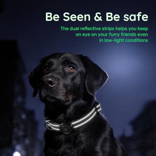 Image of Reflective Dog Collar with AirTag Holder, Waterproof Dog Collar with QR Code, Heavy Duty Adjustable Pet Collar for Small Medium Large Dogs, Black