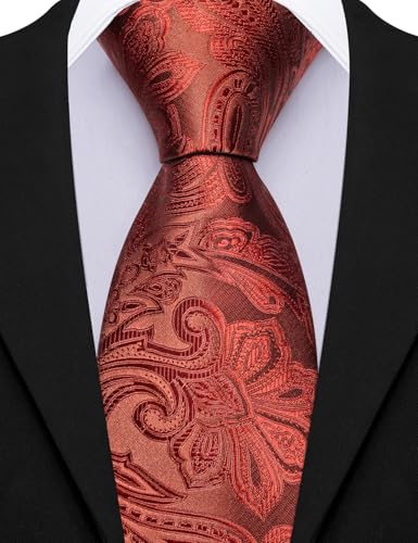 Image of Barry.Wang Paisley Tie for Men Silk Woven Necktie and Tie Clip Set Wedding Party Business Formal