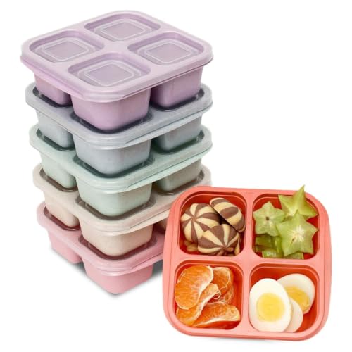 Image of 4 Compartment Snack Box Pack of 4 | Reusable Bento Lunch Box with Divided Sections | Meal Prep Food Storage Containers for Kids & Adults | School, Office, Travel & Picnic