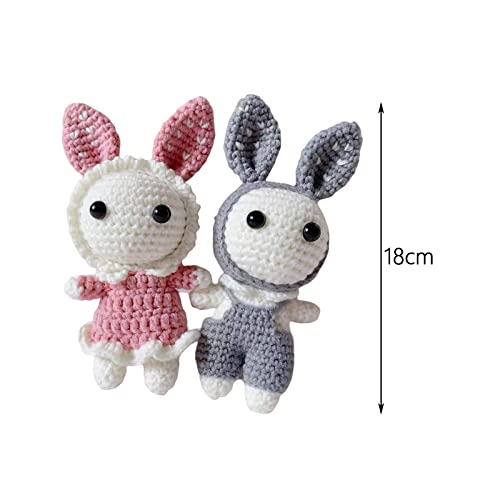 Aagaza Handmade Diy Beginner Crochet Set Rabbit Make Your Own Doll All In Learn To Crochet For Gift, Blue Andred (Color : Gray And Pink) #TOP1