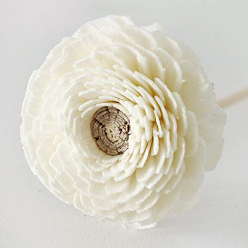 Difusor de aroma con 10 flores Zinnia Sola para hogar miniatura 3