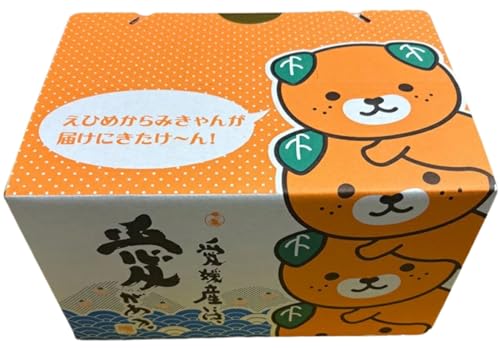 愛果28号 Lサイズ 12玉入り(みきゃん箱) 愛媛県伊予市産 国産フルーツふるさと納税 愛媛県 伊予市 ギフト 贈答用 人気 愛果28号 紅まどんな 同品種 みかん 柑橘 フルーツ みきゃん Lサイズ 12玉 伊勢果樹園