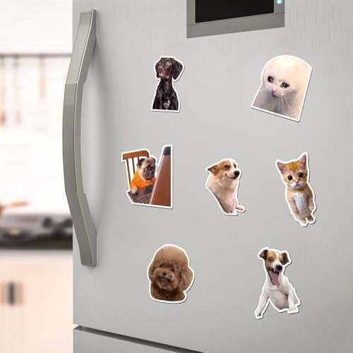 Set de 25 imanes decorativos divertidos con diseño de animales miniatura 5