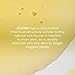 Odacité Acne Serum Concentrate for Face, Pore Cleanser Facial Oil for Skincare with Jojoba + Lavender - Clogged Pores Facial Serum Concentrate, Blackhead Remover Serum, 0.17 fl. Oz