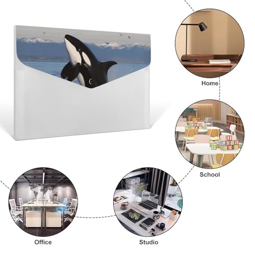 Porte-documents 6 compartiments Killer Whale trieur robuste pour organiser vos CV