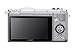Sony Alpha a5000 Mirrorless Digital Camera with 16-50mm OSS Lens (Silver)
