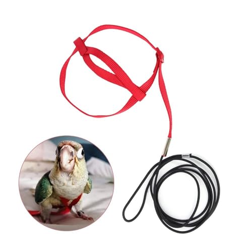 Image of Parrot Harness Leash, Anti Bite Bird Training Leash Adjustable Parrot Flying Rope for Parrot Budgerigar Lovebird Cockatiel