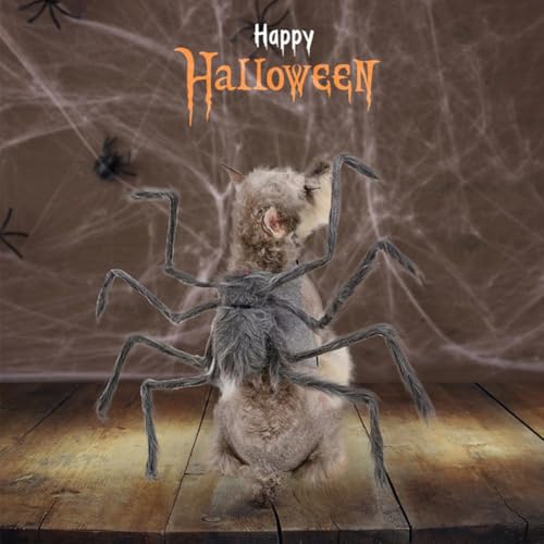 nEBybg 傫ȃNϐgߑ L ʔ AȕsCȂʂ݃NRX`[