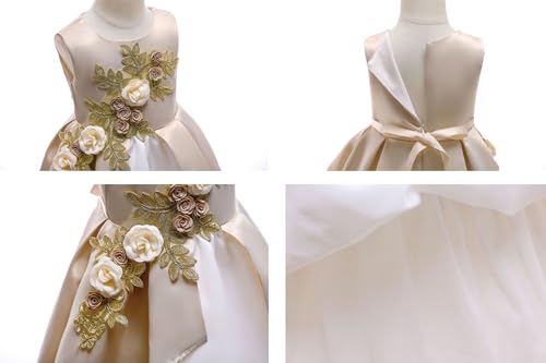 Robe de performance pour enfants aux broderies délicates