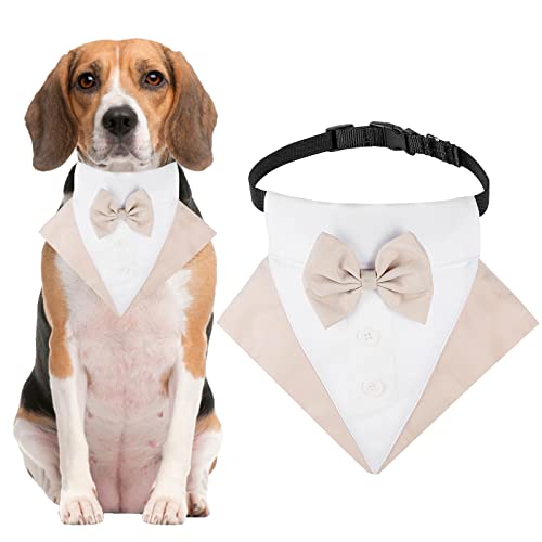 JOYPAWS Formal Dog Tuxedo Wedding Dog Bandana Collar Dog Collar with Bow Tie Adjustable Dog Bowtie Collar Bandana for Small Medium Large Dog Pet Cats Puppies Birthday Gift Champagne M