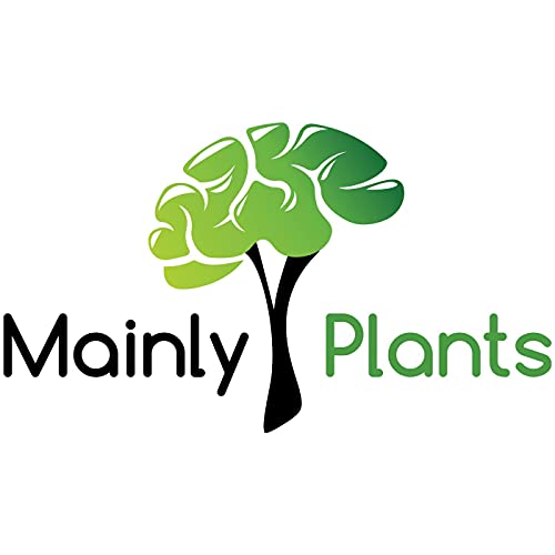 Mainly Plants Podcast cover art