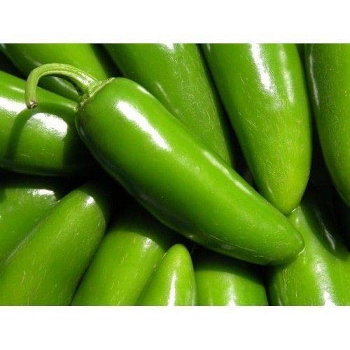 Portal Cool Peperoncino piccante vegetale Tam Jalapeño (Dolce) 150 semi # 4014
