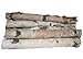 Wilson Northern White Birch Log Bundle, Natural Bark Wood Home Décor - 15.5