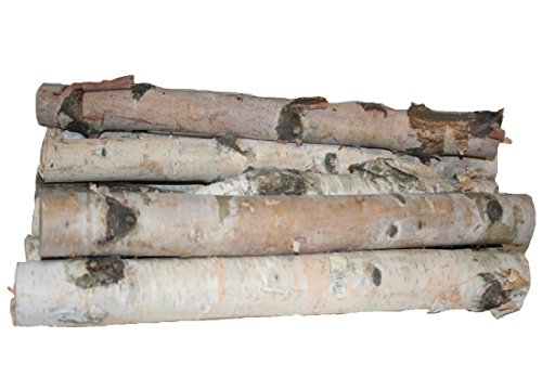Wilson Enterprises Northern White Birch Logs, Set of 8