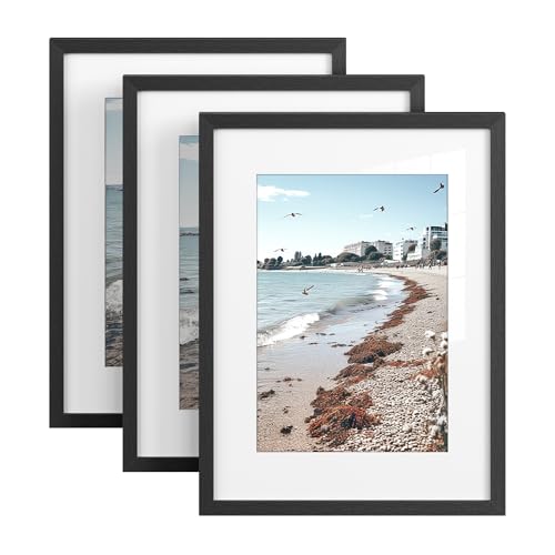 SONGMICS Cadres Photo, pour Photo de 20 x 30 cm, à Accrocher au Mur, en Panneau MDF, avec Clous sans Trace, Lot de 3, Noir RPF057BZ01