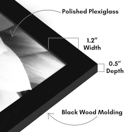Americanflat 20x27 Picture Frame with Polished Plexiglass - Black Picture Frame - Wide Photo Frames Made of Engineered Wood for Vertical or Horizontal Wall Display - Epic Collection - Black
